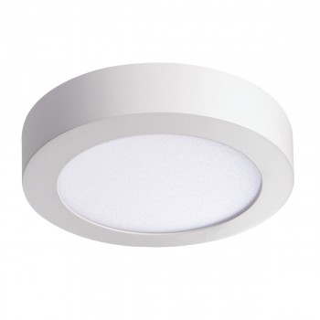 Потолочный светодиодный светильник Kanlux CARSA V2LED 12W-NW-W 28948