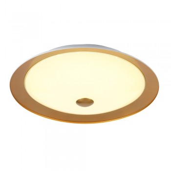 Потолочный светильник Maytoni Euler CL815-PT50-G